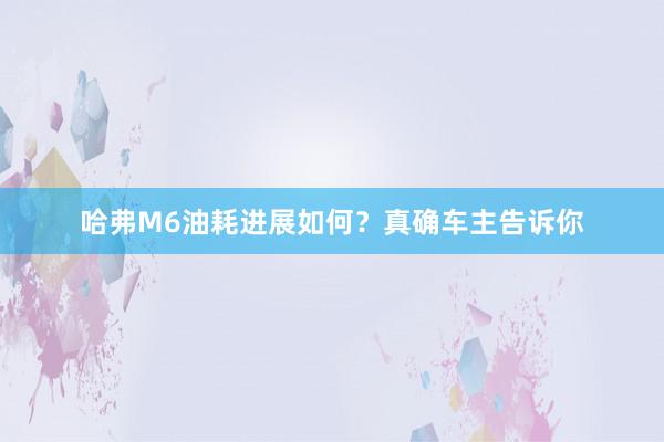 哈弗M6油耗进展如何?真确车主告诉你
