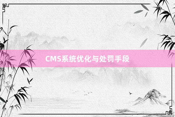 CMS系统优化与处罚手段